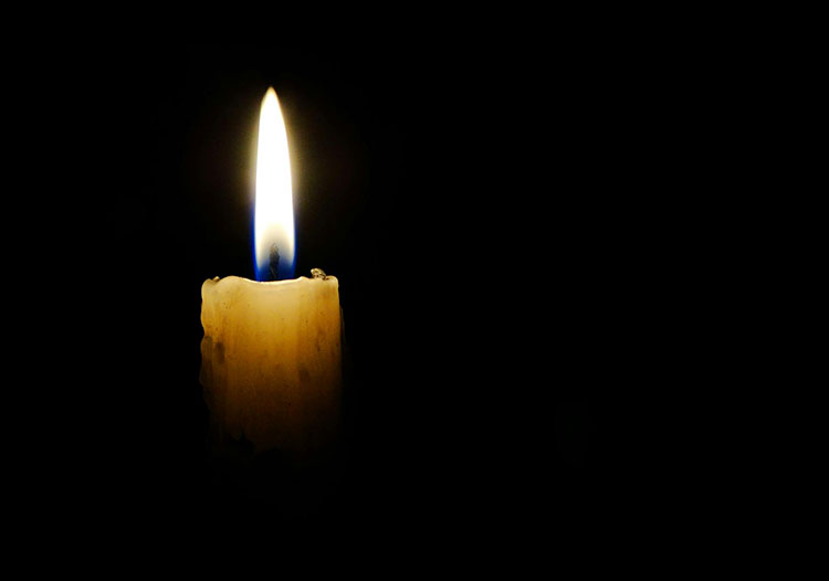 Foto: Alexandre Moreira - Pexels