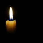 Foto: Alexandre Moreira - Pexels